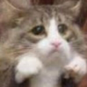 gerrilynnbaxter avatar