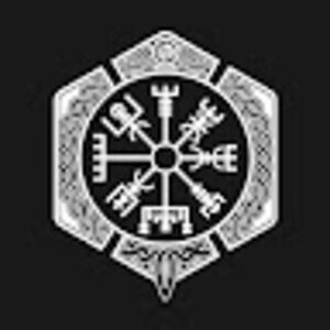 vegvisir avatar
