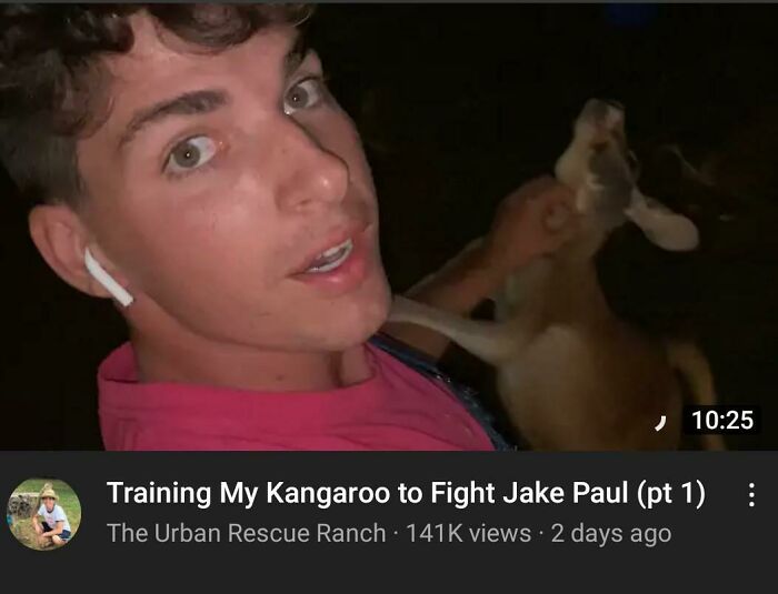 Urban Rescue Ranch, The Whole Channel Is Like This