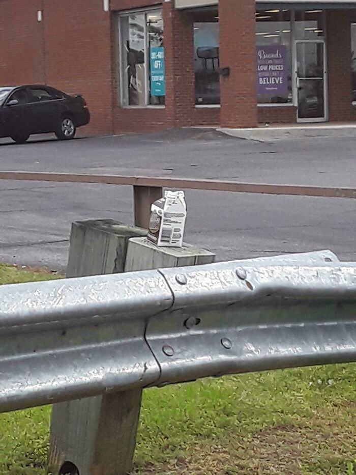 Chocky Milk Caught In The Wild