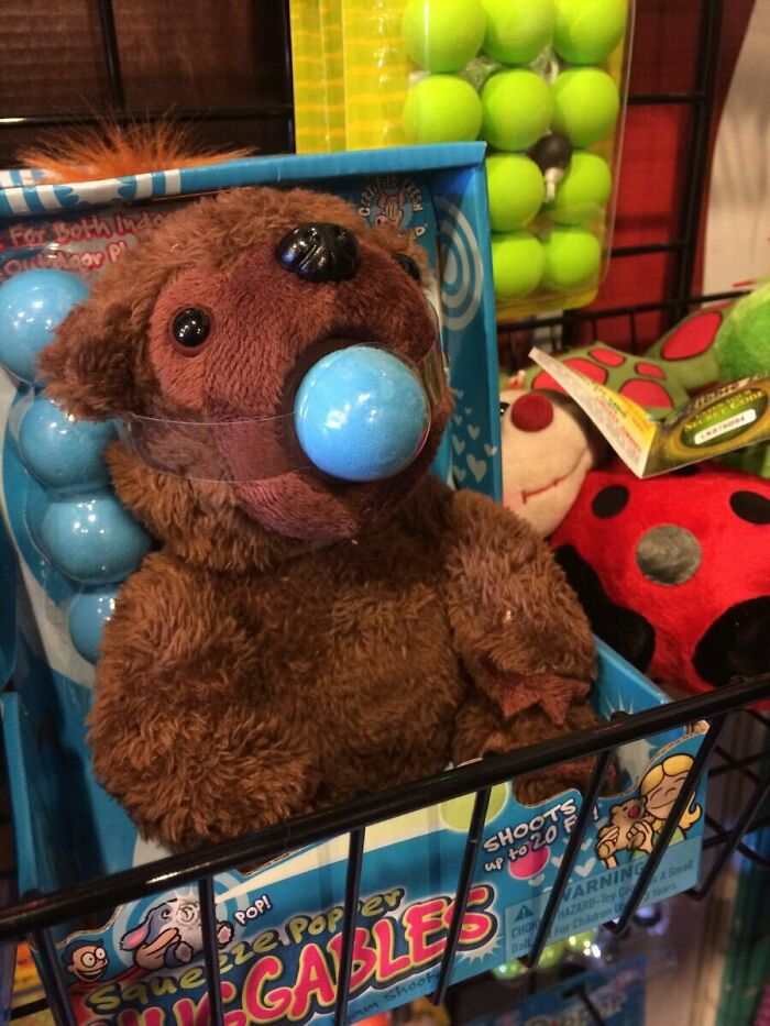 Creepy toy bear with blue balls in mouth, displayed among other unusual toys causing creepy toy nightmares.