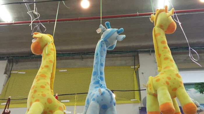Three hilariously creepy giraffe toys with exaggerated features hanging in a store, eerie and nightmare-inducing toy display.