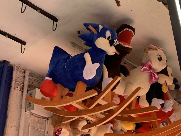 Just Your Average Sonic Horse. With Love From Guadalajara, Mexico