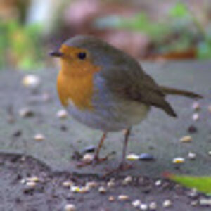 alexgwellington avatar