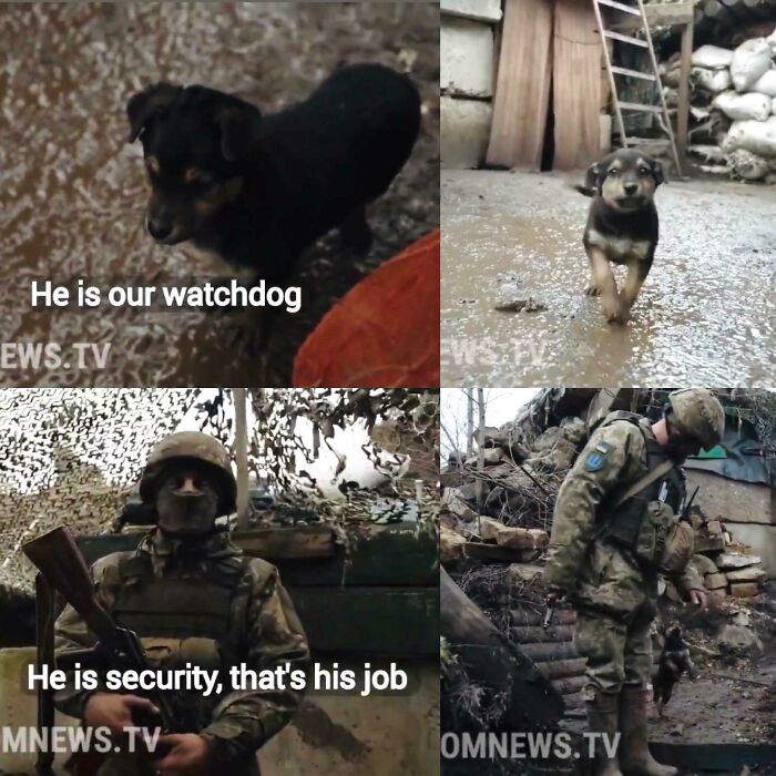 What-Happened-In-Ukraine