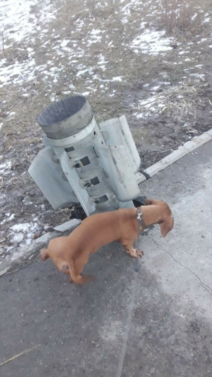 What-Happened-In-Ukraine