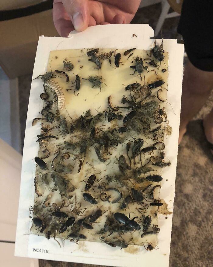 Found This Under A Serving Table In A Older Home We Were Renovating...