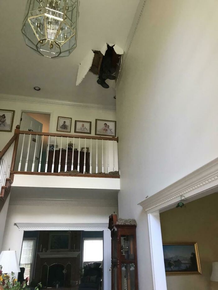 Pest Control Guy Finds A Weak Spot In My Attic (He's Ok, And Invited To Thanksgiving)