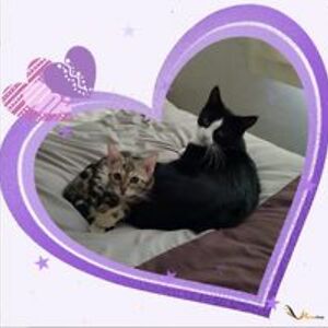 sexychick4421475_1 avatar