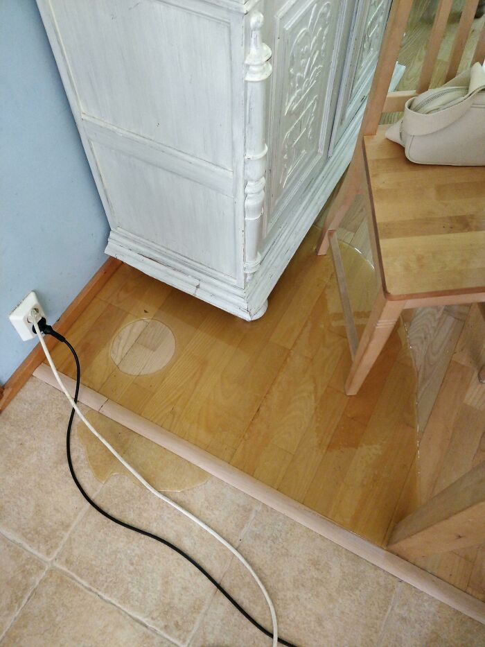 My Mom Is A Beekeeper, And She Accidentally Spilt 10kgs Of Honey To The Floor