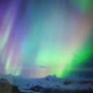 madeleineflowers avatar