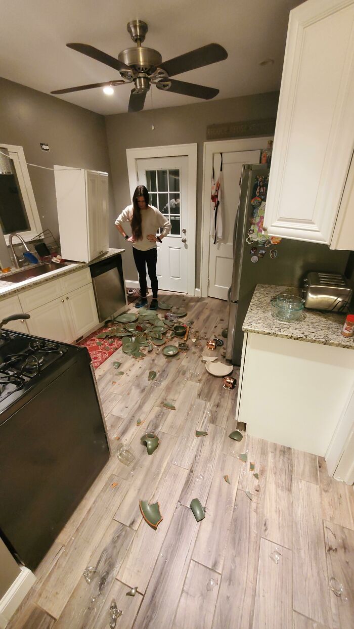 Closed The Dishwasher And The Cabinet Decided To Kill Itself