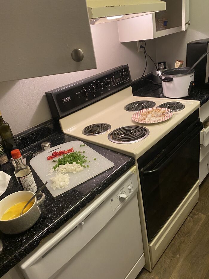 Was Attempting To Make Egg Fried Rice When I Realized That My Oven Has No Power