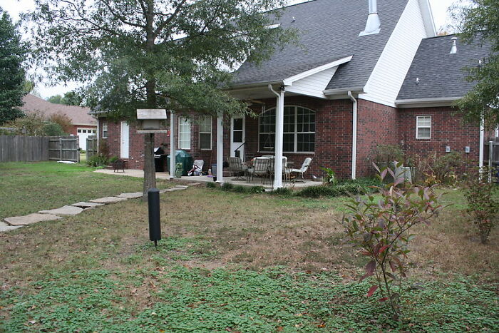 20 Historias de niños mostrando indicios de una posible vida pasada