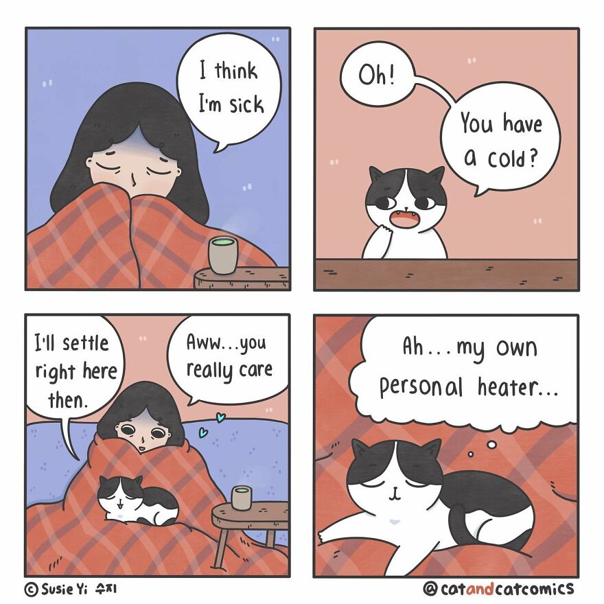 My 23 Wholesome Comics About A Cat And His Human