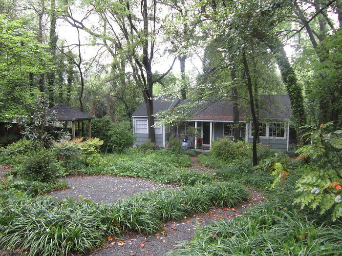 20 Historias de niños mostrando indicios de una posible vida pasada