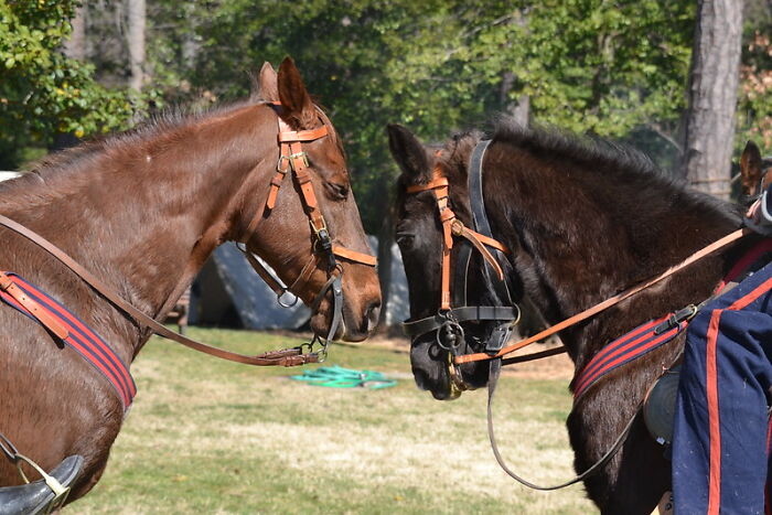 20 Historias de niños mostrando indicios de una posible vida pasada