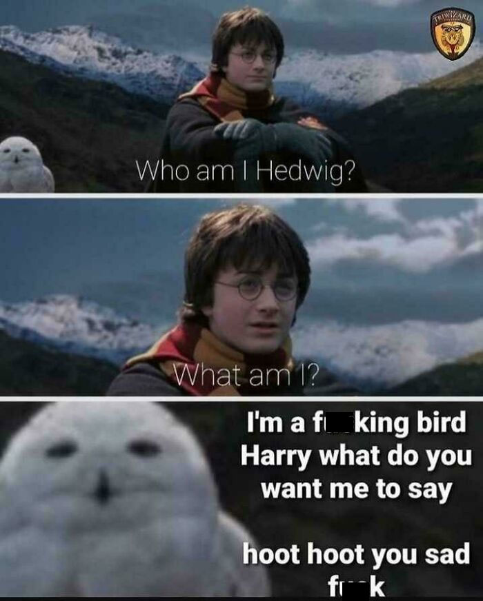 Silly Harry Only Newt Can Talk To Animals