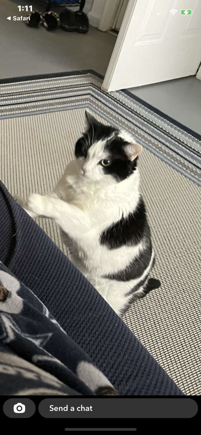 What Do You Mean It’s Not My Turn To Sleep On The Couch? 2t Loves Her Spot And It Must Be Surrendered.