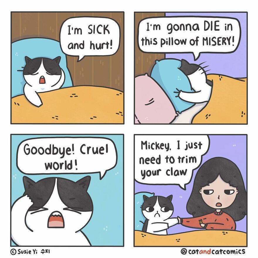 My 23 Wholesome Comics About A Cat And His Human