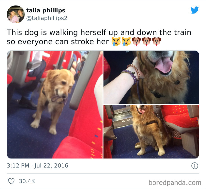 Think She Made Everyone's Day