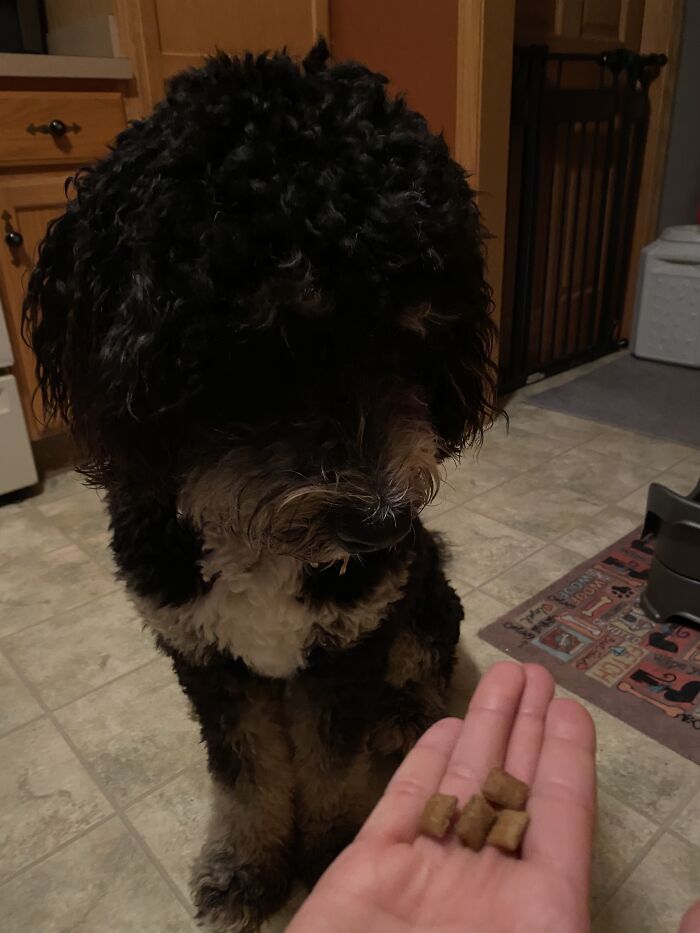 Stetson Waiting For Permission