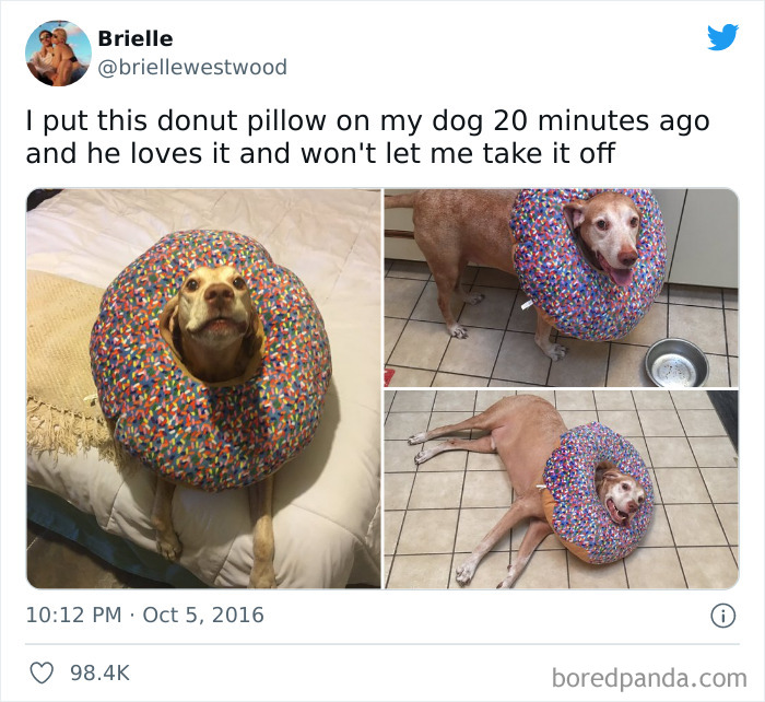 This Is The Cutest Thing