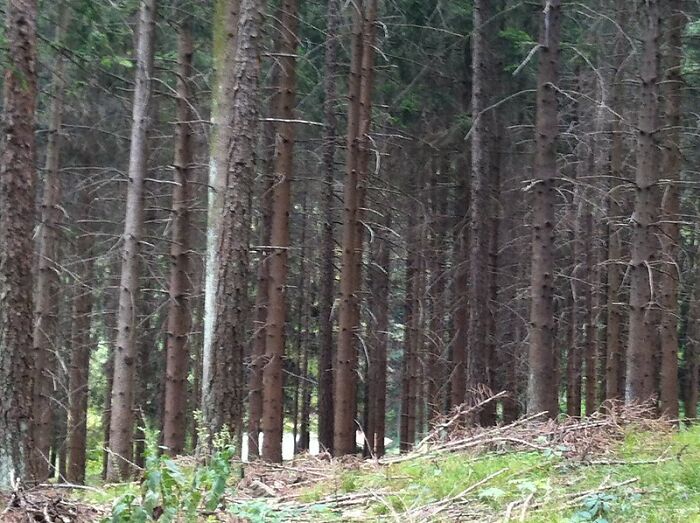 20 Historias de niños mostrando indicios de una posible vida pasada