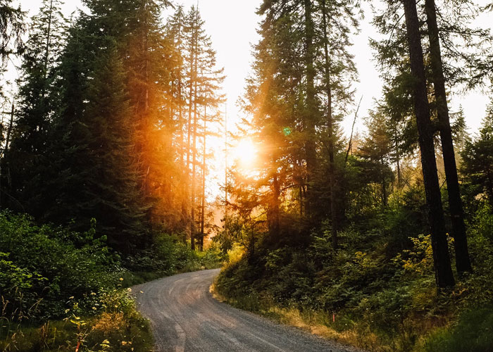 Estos operadores del 911 cuentan cuáles fueron las llamadas más tontas que recibieron que no eran urgentes en absoluto