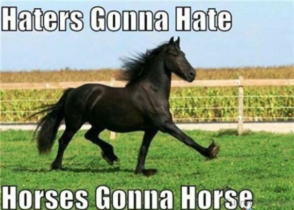 9 Horse Memes That Prove Horse Memes Are The Best Memes