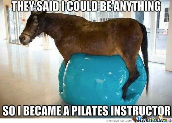 9 Horse Memes That Prove Horse Memes Are The Best Memes