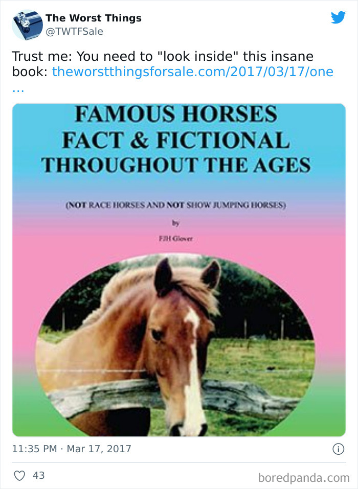 Worst-Things-Terrible-Items-For-Sale