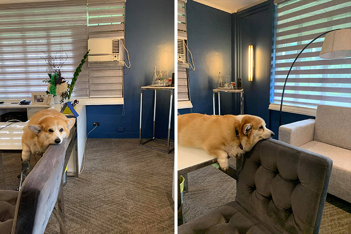 Hoy es un día triste... Llueve, llueve y se echa a perder