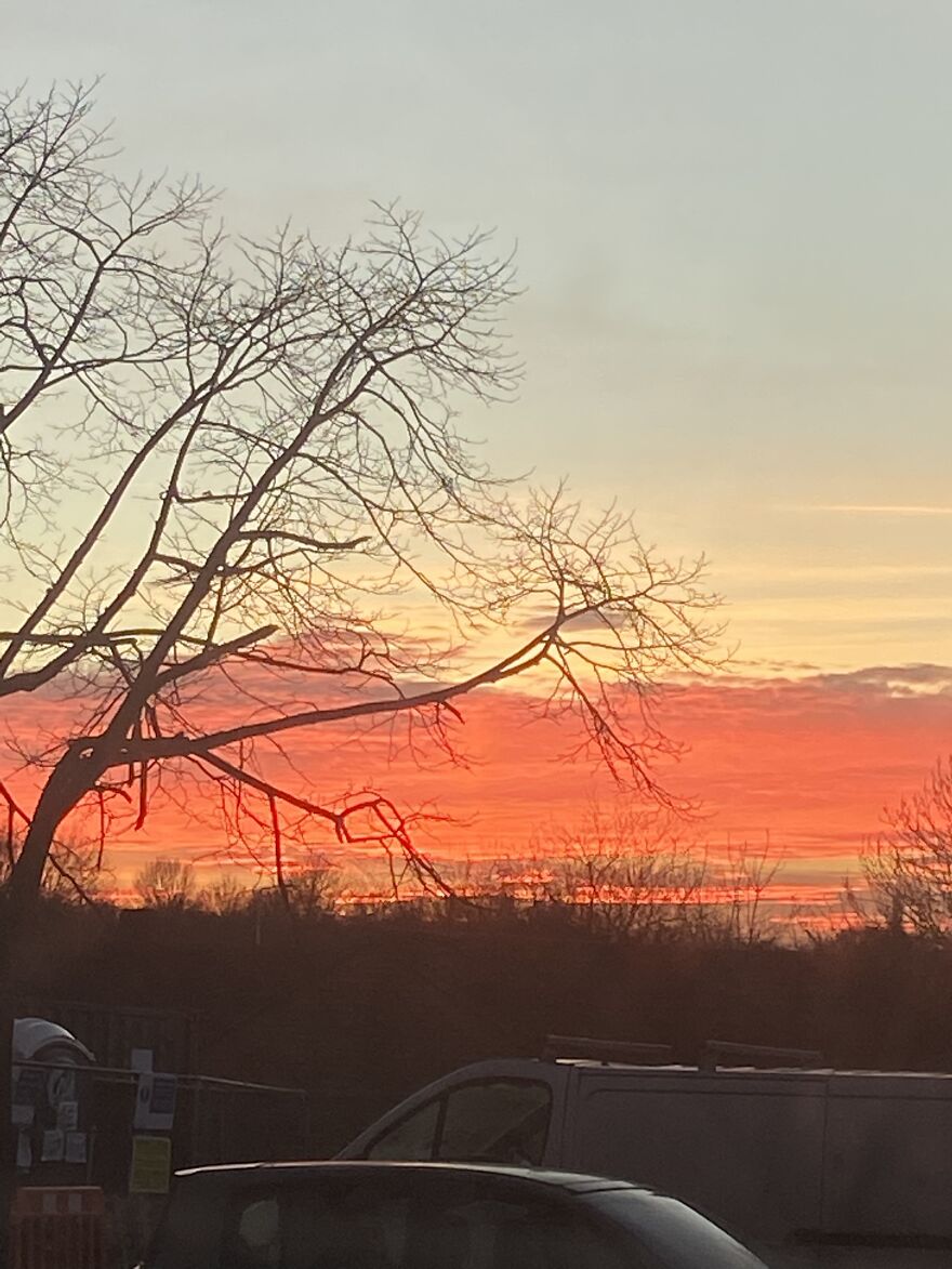 Hey Pandas, Can You Give Me Some Advice?