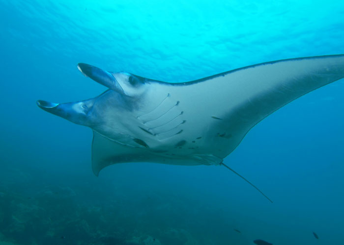 'What Is A Scientific Fact That Absolutely Blows Your Mind?': People Share 35 Incredible Facts About Our World