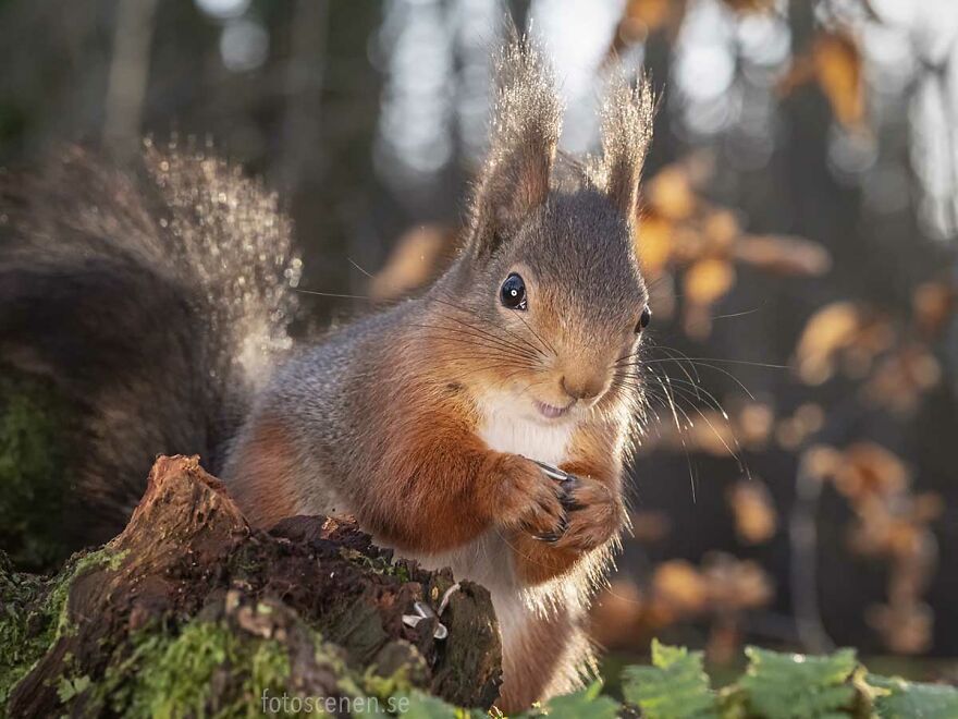 A Little Bit Of Sunshine