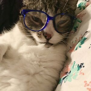 ashleyoquinn_1 avatar