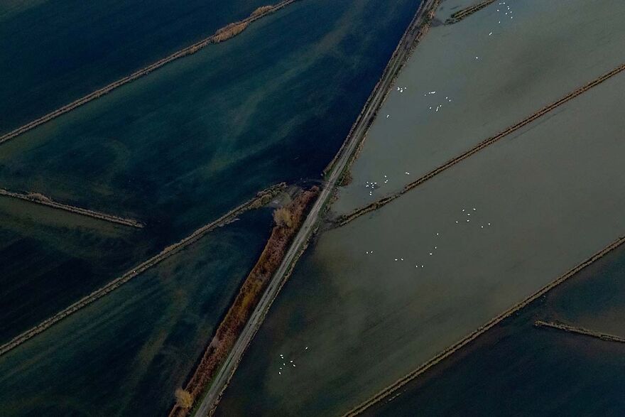 Agricultural Irrigation, 2021