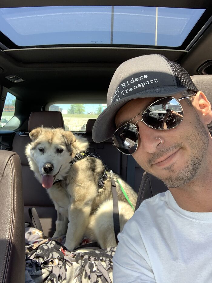 Man Adopts Abandoned Senior Husky And Sheds Light On Important Issues