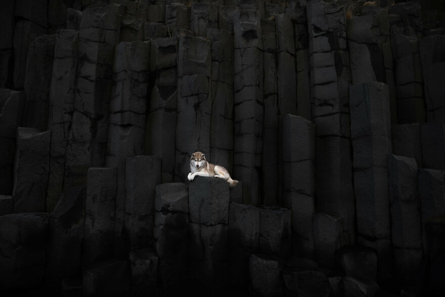 I Photograph Four-Legged Models In Breathtaking Landscapes