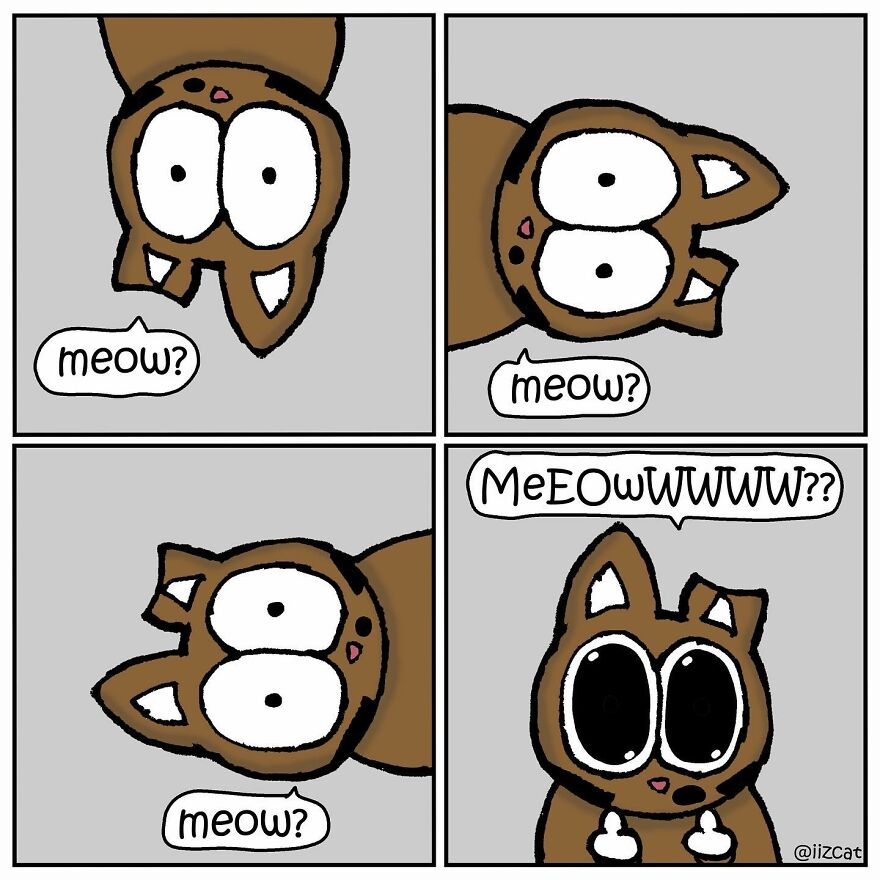 Artist Sums Up Life With A Cat In 30 Comics (New Pics)