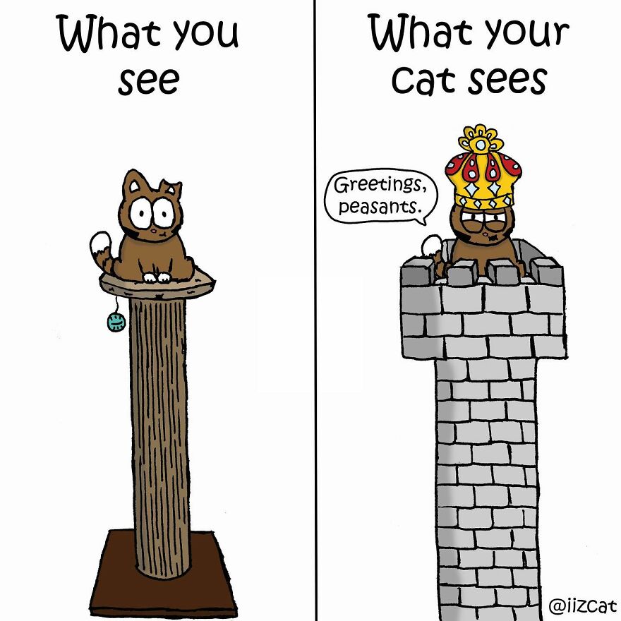 Artist Sums Up Life With A Cat In 30 Comics (New Pics)