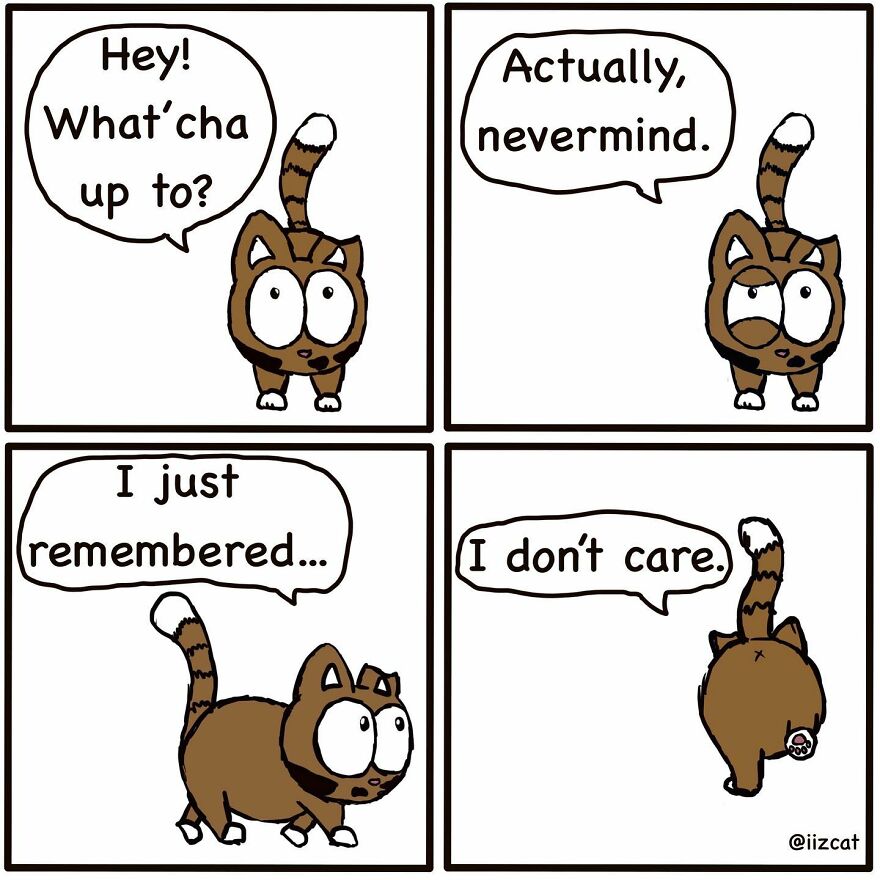 Artist Sums Up Life With A Cat In 30 Comics (New Pics)