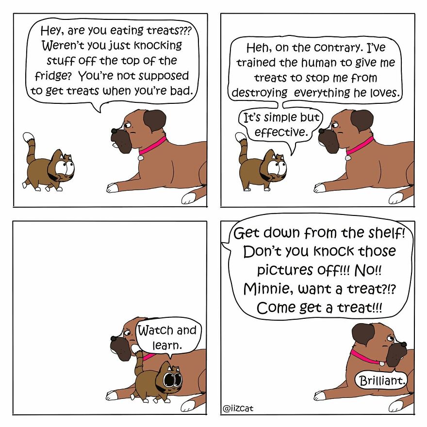 Artist Sums Up Life With A Cat In 30 Comics (New Pics)