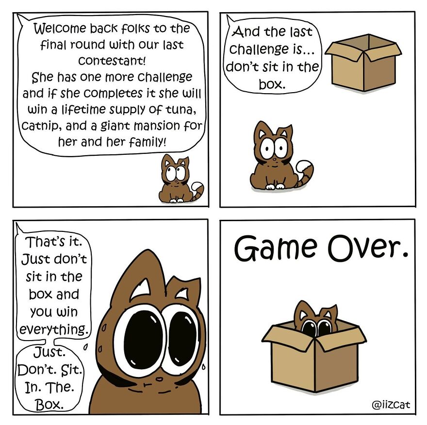 Artist Sums Up Life With A Cat In 30 Comics (New Pics)