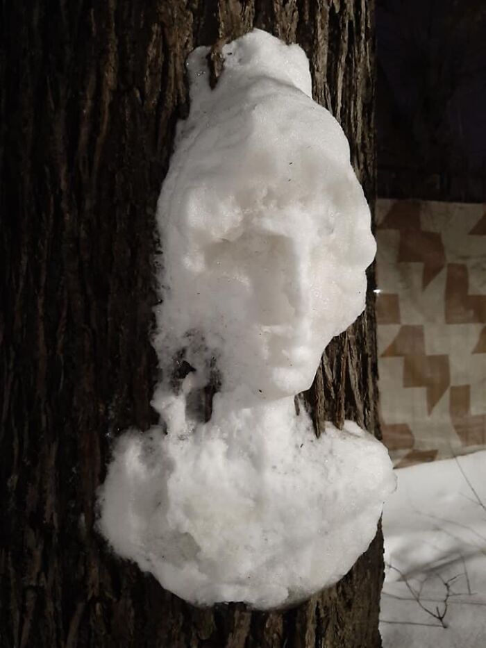 Artist Makes Incredible Snow Sculptures On Tree Trunks