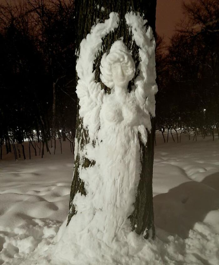Artist Makes Incredible Snow Sculptures On Tree Trunks
