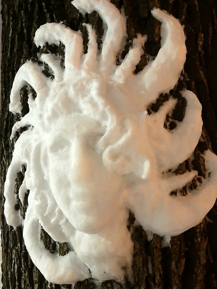 Artist Makes Incredible Snow Sculptures On Tree Trunks