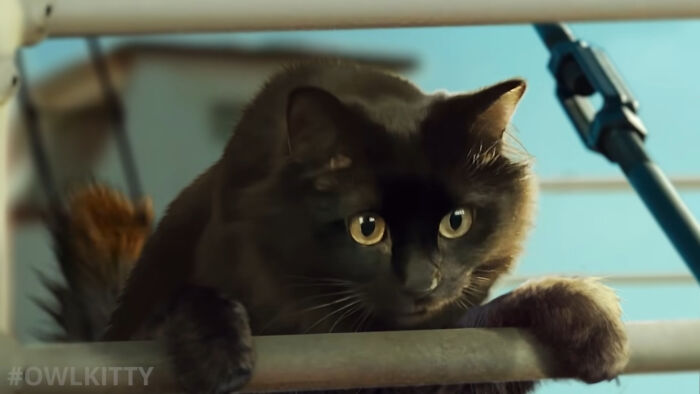 En esta versi&oacute;n mejorada de Titanic hay un gato, y el resultado es divertid&iacute;simo