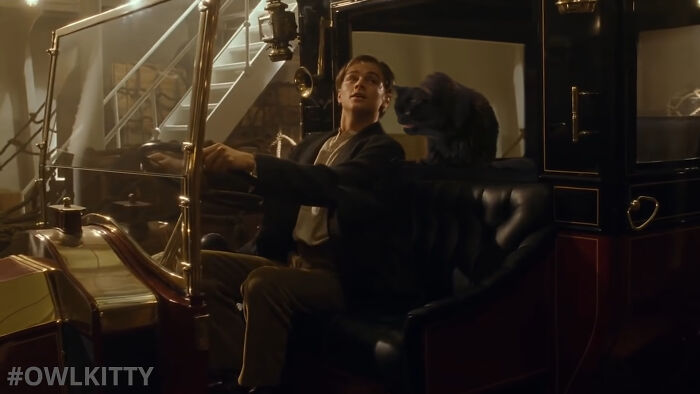 En esta versi&oacute;n mejorada de Titanic hay un gato, y el resultado es divertid&iacute;simo